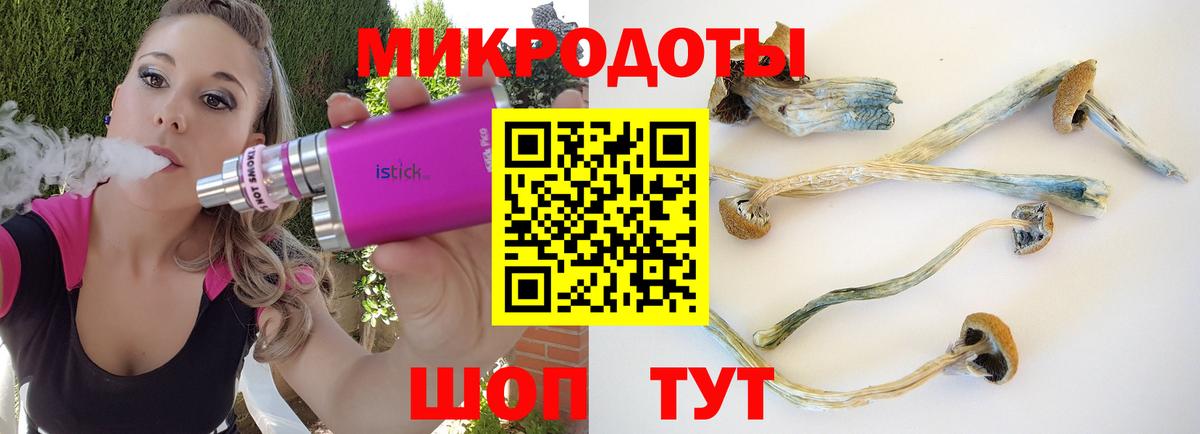 Галлюциногенные грибы GOLDEN TEACHER Белореченск